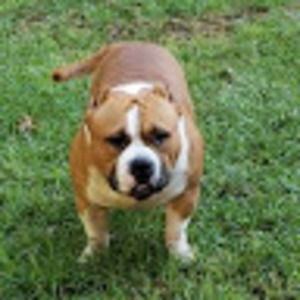 Meet your Posher, Blake